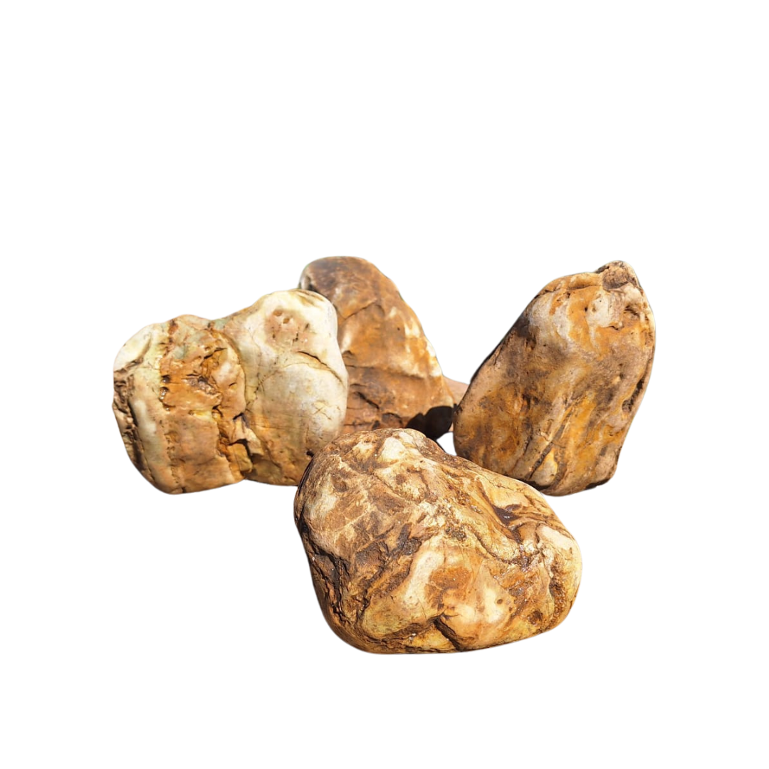 Roccia Arcaic