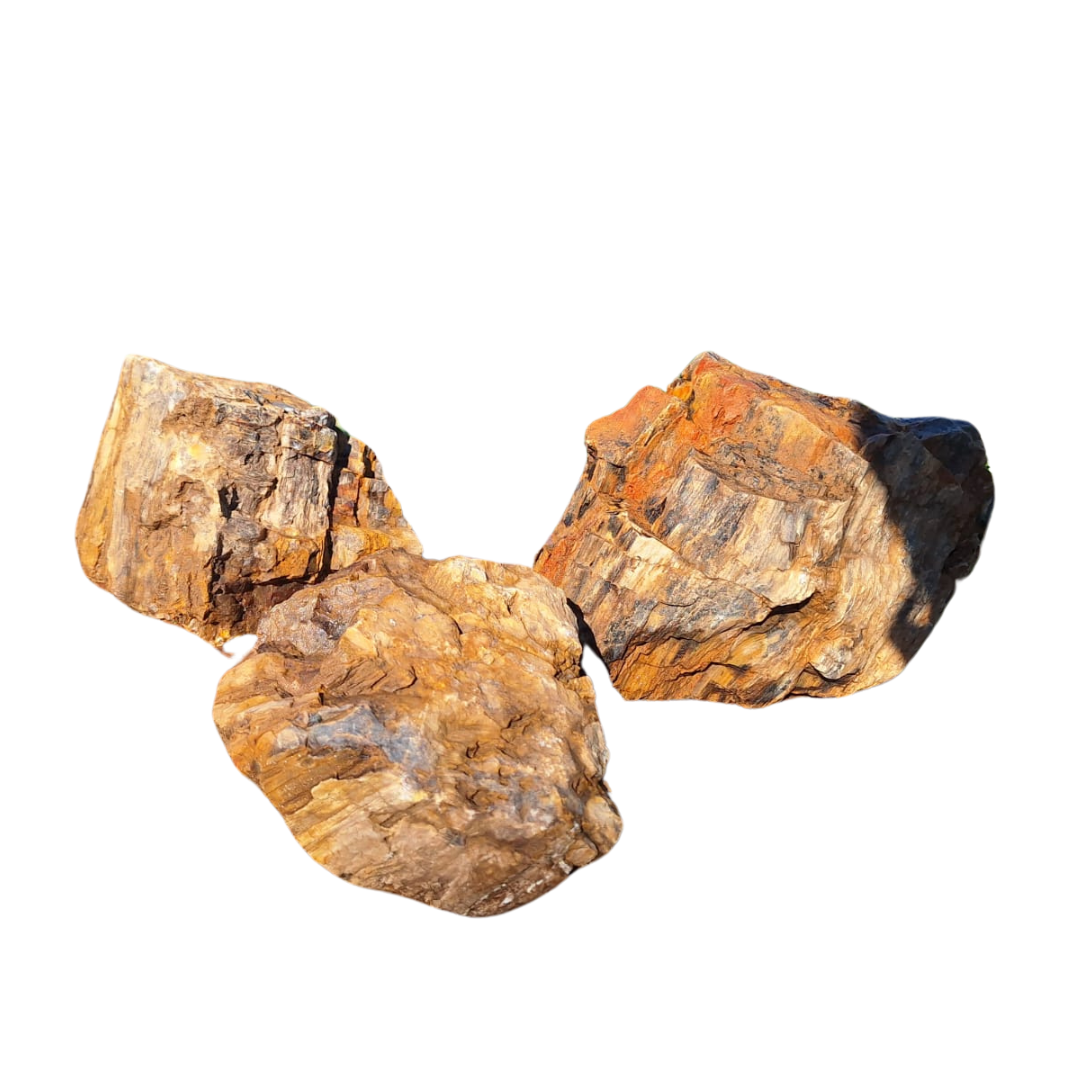 Roccia Fossil Stone